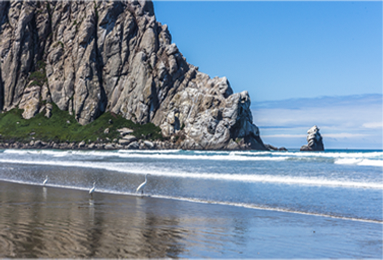 Morro Strand State Beach on a Beautiful Sunny California Day