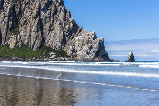 Morro Strand State Beach on a Beautiful Sunny California Day