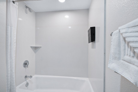 Welcome To Hotel Avisa - Bathing Area with Bath Tub